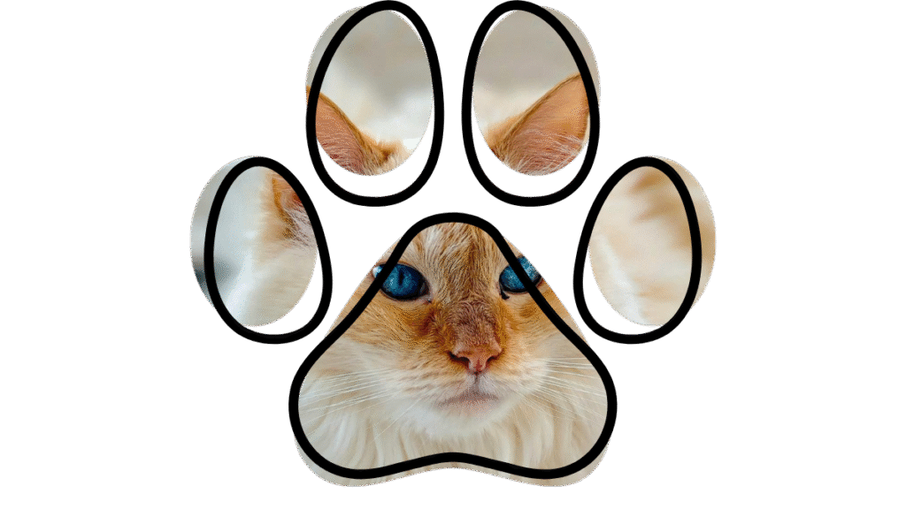 Camden Animal Hospital veterinary team with happy pets