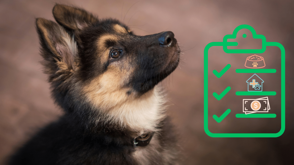 German Shepherd puppy beside a new pet care checklist for owners in Camden, AR