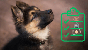 German Shepherd puppy beside a new pet care checklist for owners in Camden, AR